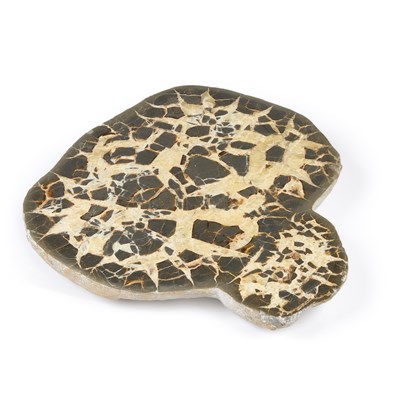 Lot 819 - A LARGE SEPTARIAN NODULE SLICE